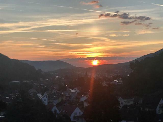 Pension Bergterrasse Annweiler am Trifels Exterior photo